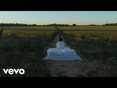 DanDlion - Lay Next 2 U (Official Video)