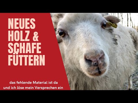 , title : '#16 Das nächste Material trifft ein & Schafe Schafe Schafe'