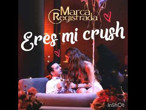 MARCA REGISTRADA : ERES MI CRUSH