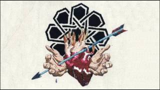 Brown Bird - Ephraim