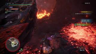 MHWIB 臨界ブラキ初見