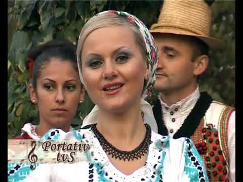 Portativ TVS - Sânziana Toader - Am fost în vara acasă