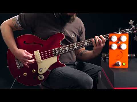 JHS Pulp 'n' Peel - Epiphone Jack Cassady Pick Bass