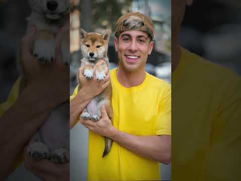 alejo igoa y su perrita🩵🤍🩵🥳