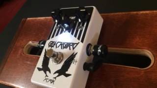 Video thumbnail for Mr. Black's Friday Club "Blackbird" by Rob Russell