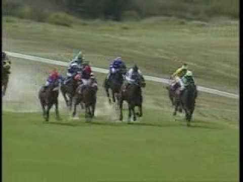 New Domina wins convincingly at Durbanville.