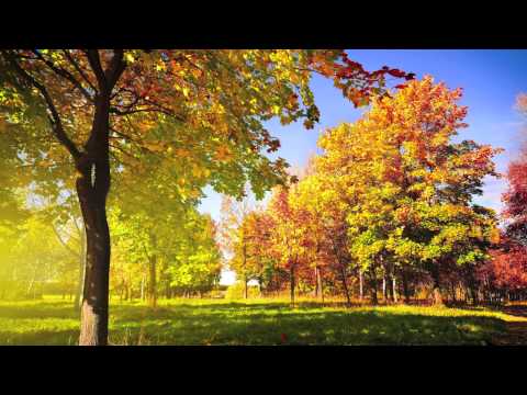 Eric Rigo feat. Cara Leigh - Long Drive (Vocal Mix)