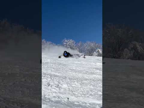 近所でもない天然雪圧雪パウダー最高な斑尾高原で近所の金髪くんがカービングしてきたよー😎😎😎斑尾ブルー😻😻😻斑尾パウダー😻😻😻