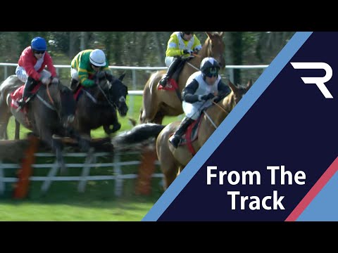Teahupoo enhances his Champion Hurdle credentials with a smooth success at Gowran Park - Racing TV