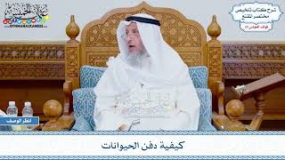 1750 - كيفية دفن الحيوانات - عثمان الخميس
