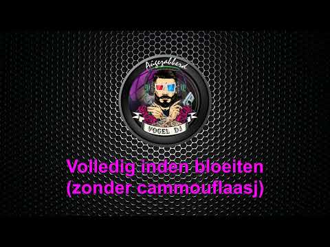 Aûgezabberd 24 De Vogel DJ