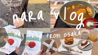 NARA vlog 🇯🇵 saying hi to the deers 🦌must eats in Nara🍓