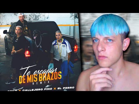 BERTIAKA REACCIONA a ECKO, Callejero Fino, El Perro - Te Escapas De Mis Brazos (Remix)