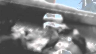 Blockhead: The Music Scene (The El-P Remix)