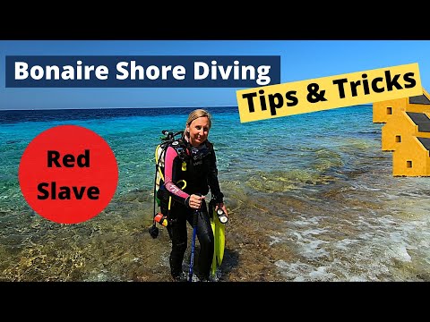 Bonaire Shore Diving Tips & Tricks - Red Slave