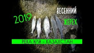 Ловля жереха ранней весной с берегами