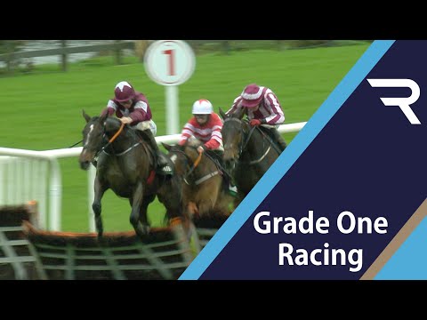 DID THE BEST HORSE WIN? Abacadabras wins the Unibet Morgiana Hurdle (G1), but was Saint Roi unlucky?