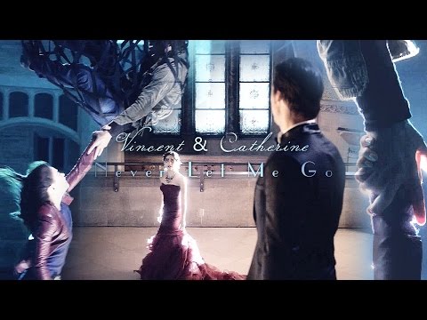 .Vincent Cat. || Never Let Me Go