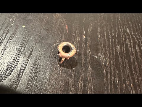 Speer® Bullet Points: FMJ vs. TMJ®