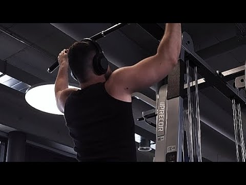 Spring Cut Day 17 - Back (Deload)