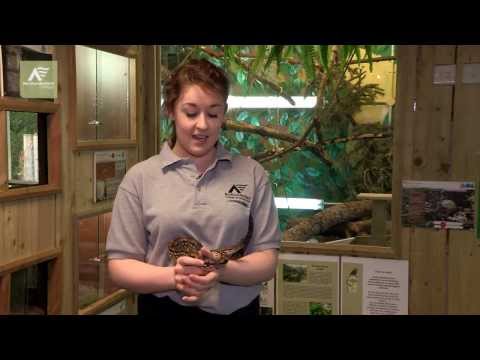 Animal Management - Northumberland College Kirkley Hall Campus
