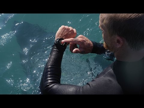 Mission Ready | Features and Functions