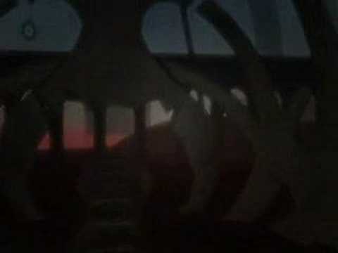 Le Portrait De Petit Cossette Sadness & Sorrow