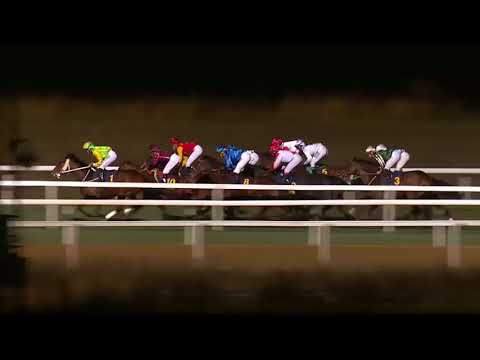 2017.10.19 Svenskt St Leger - Muteki