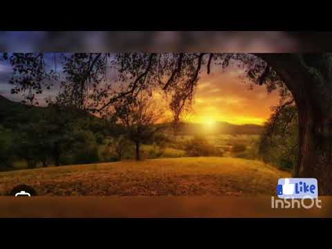 nature status video😊😊😊