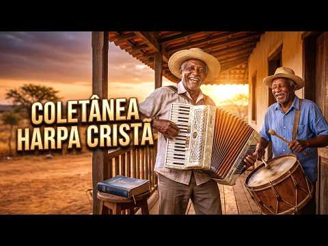 30 Minutos de Hinos da Harpa em Baião Para Alegrar o Seu Dia | LOUVOR E ADORAÇÃO