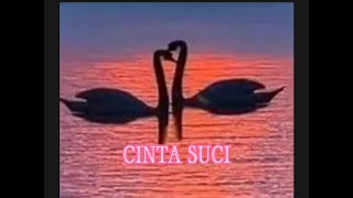 Download lagu CINTA SUCI mp3