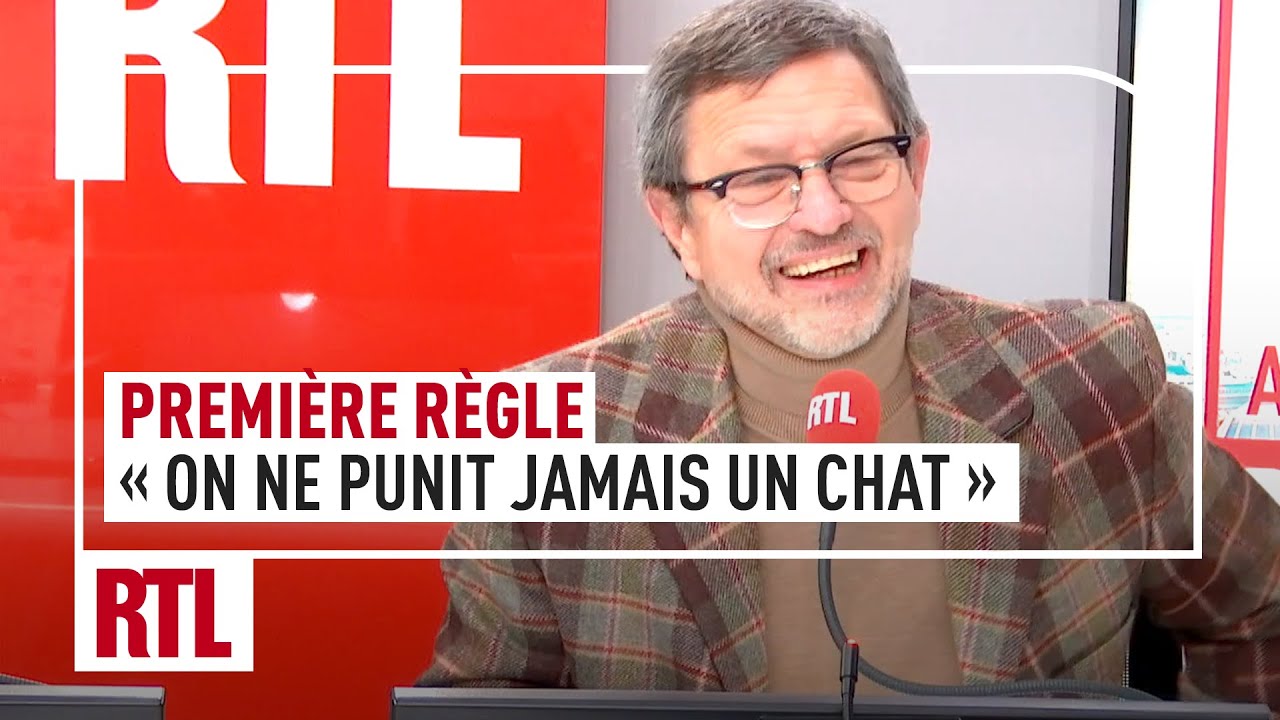 "Première règle, on ne punit jamais un chat", selon le vétérinaire Claude Béata