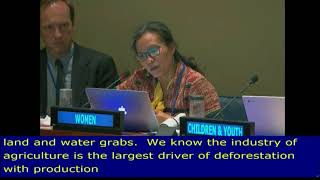 Devi's Review of SDG 12, at the HLPF 2018: UN Web TV