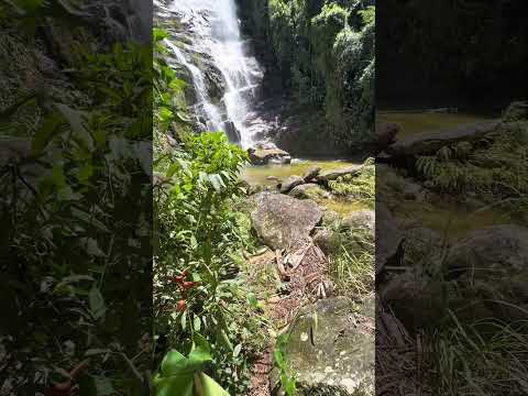 Cachoeira da Fortuna - Córrego do Ouro