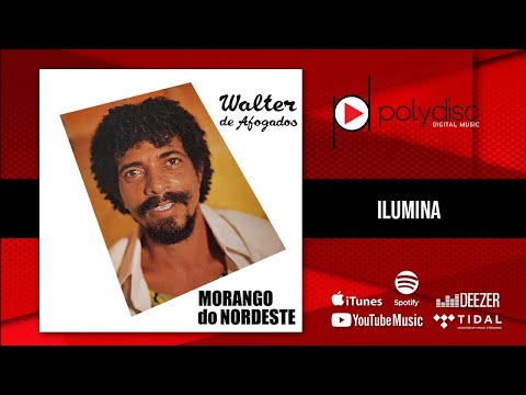 Walter de Afogados - Ilumina
