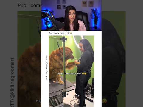 HER DOG WANTED TO BE ALONE WITH HER.. 😭