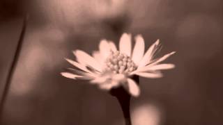 Madrugada Quite Emotional