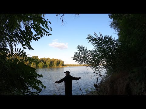 Am pescuit pe brațul Sf. Gheorghe în aval de Ilganii de Jos 🐟🎣🎥