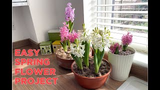 Plant These Spring Flowers Before Winter Ends