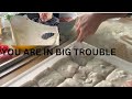 How To Manage Overproof Pizza Dough And How To Fix