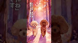 📕 #シニア犬との暮らし #トイプードル18歳 #ソレちゃんとテールちゃん
