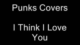 Less Than Jake - I Think I Love You (Cover)