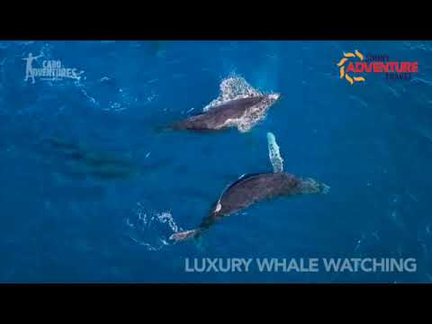 How to enjoy sailing in Baja California South Mexico