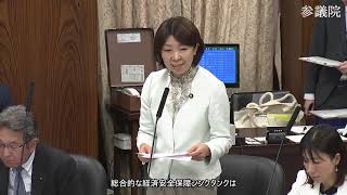 【字幕付き】20260609 参議院 内閣委員会 05 堂込麻紀子 国民民主党・新緑風会