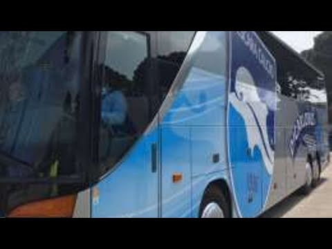 Perugia: Falco è tuo