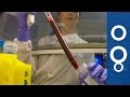 AIDS - "Getting Closer To Creating A Vaccine ...