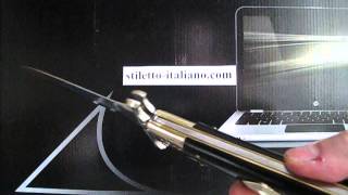 Swinguard stiletto 13" Diamond Dagger Dark horn AGA Campolin