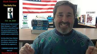 What About Libertarians?