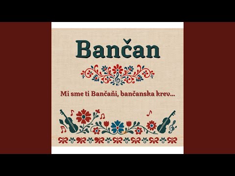 Mila moja jaka śi, V naśim sadze už virosla sosna