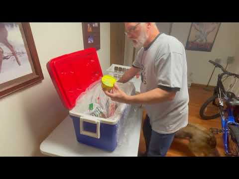 Packing Cooler To Check On Airline #travelhacks #airlines